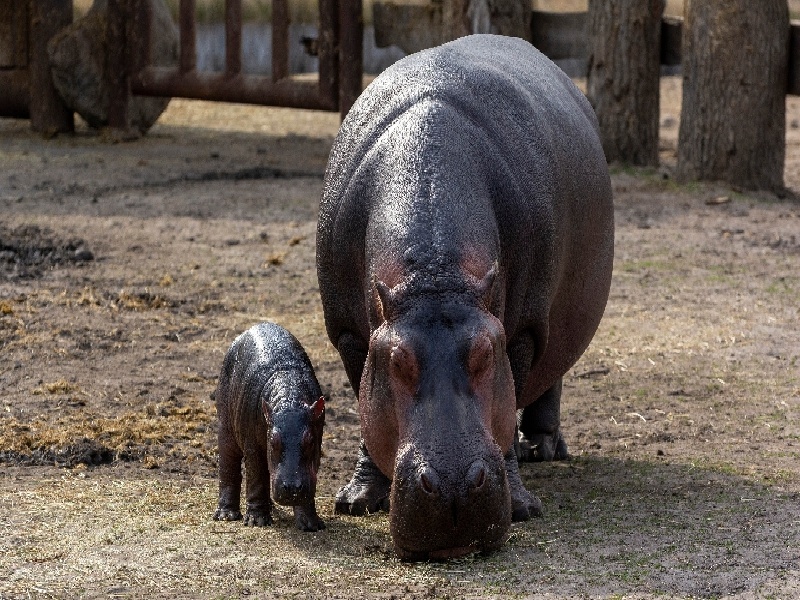 王女士成功案例